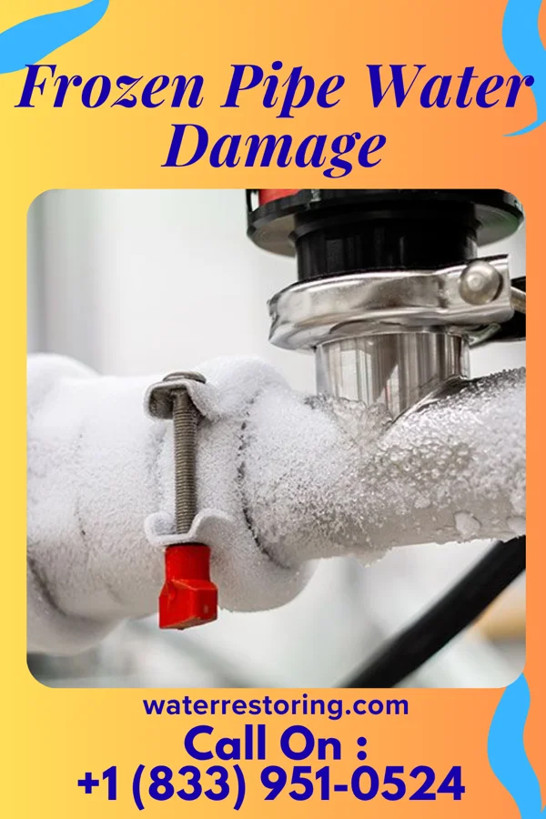 Frozen Pipe Water Damage in Nenzel, NE