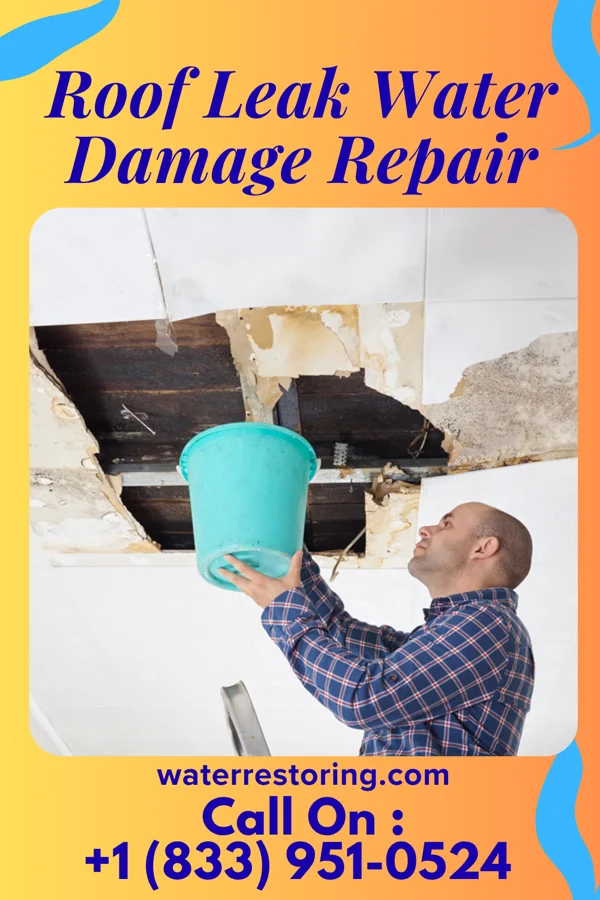 Roof Leak Water Damage Repair in Nenzel, NE