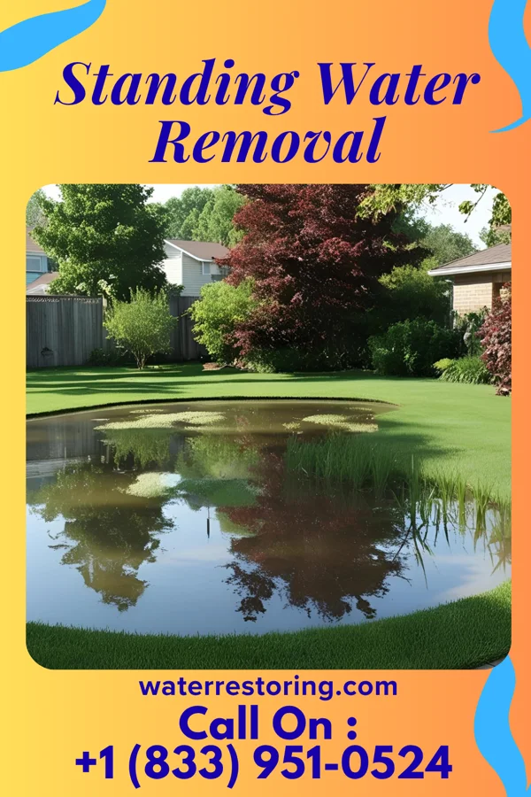 Standing Water Removal in Nenzel, NE